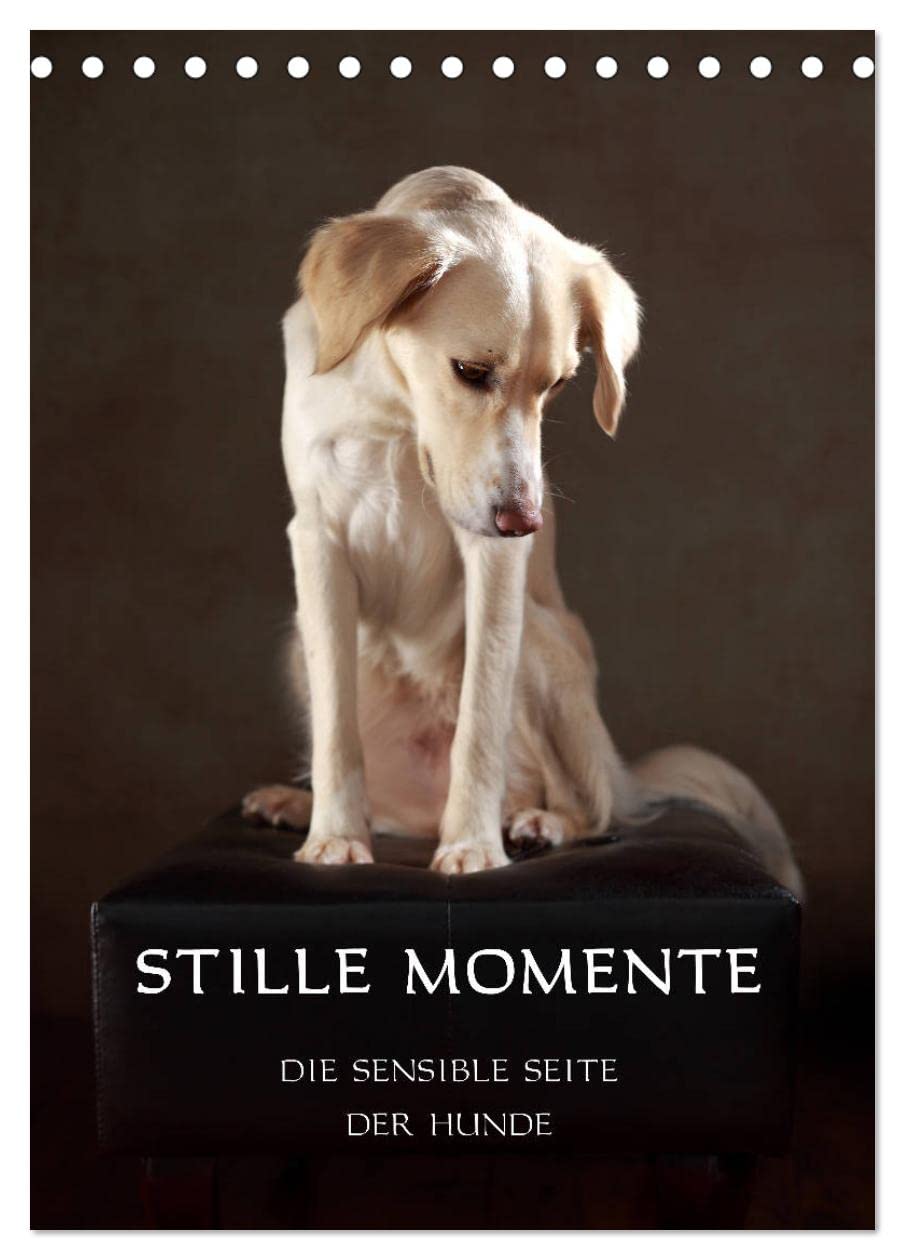 Stille Momente - Die sensible Seite der Hunde (Tischkalender 2026 DIN A5 hoch), CALVENDO Monatskalender: Hunde, wie sie unser Herz berühren... (CALVENDO Tiere) Natural Sciences