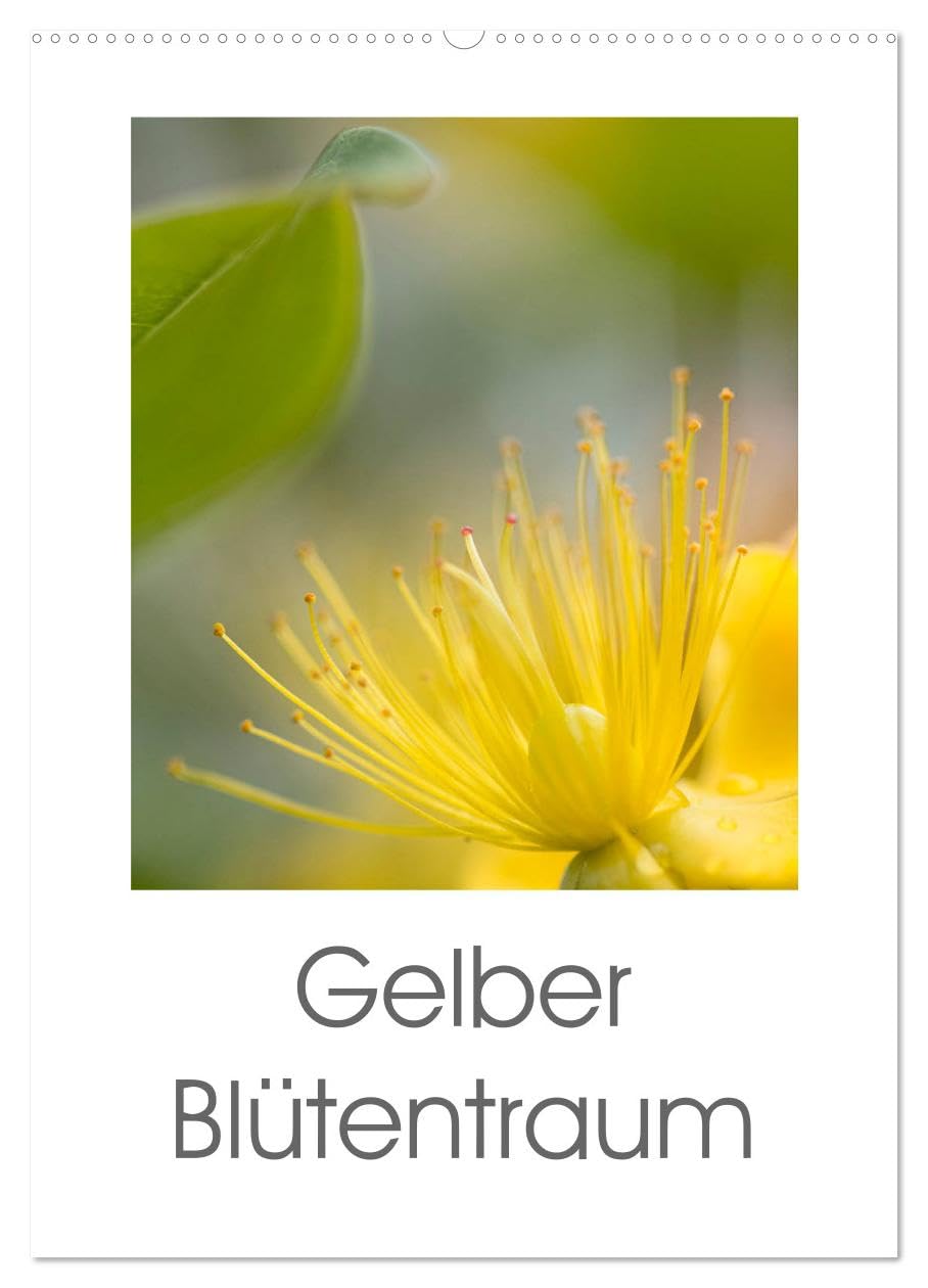 Gelber Blütentraum (Wandkalender 2026 DIN A2 hoch), CALVENDO Monatskalender: Gelbe frische Blütenfotos verzaubern uns das ganze Jahr (CALVENDO Natur) Social Sciences