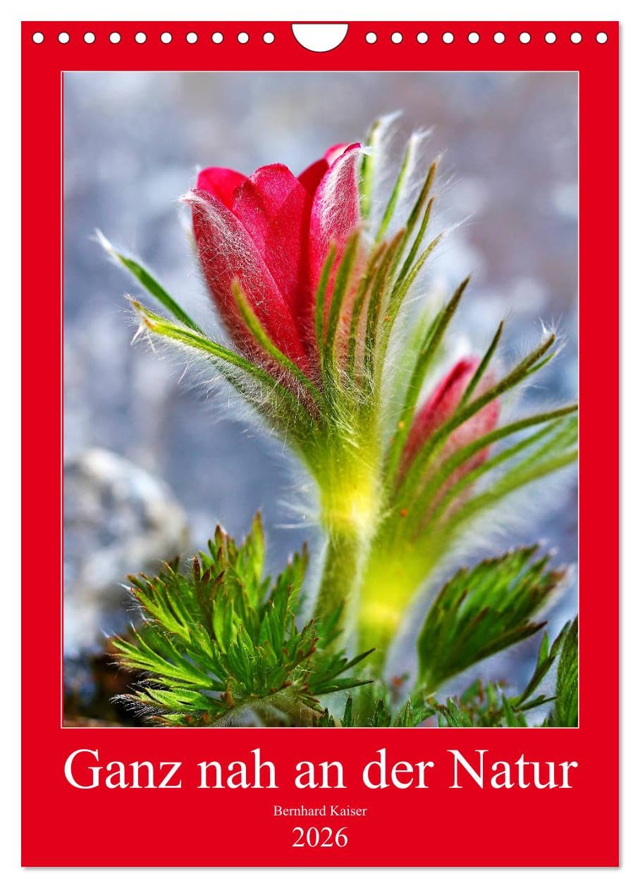 Ganz nah an der Natur (Wandkalender 2026 DIN A4 hoch), CALVENDO Monatskalender: Makroaufnahmen von Blumen, Blüten, Pflanzen (CALVENDO Natur) Leisure, Home & Garden