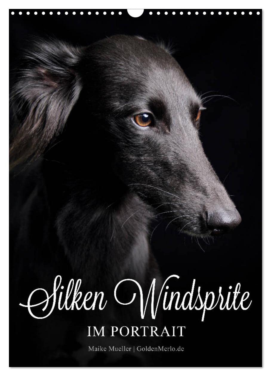 Silken Windsprite im Portrait (Wandkalender 2026 DIN A3 hoch), CALVENDO Monatskalender: Jeden Monat ein neues, faszinierendes Portrait der seidigen Windhunde (CALVENDO Tiere) Living & Furnishing