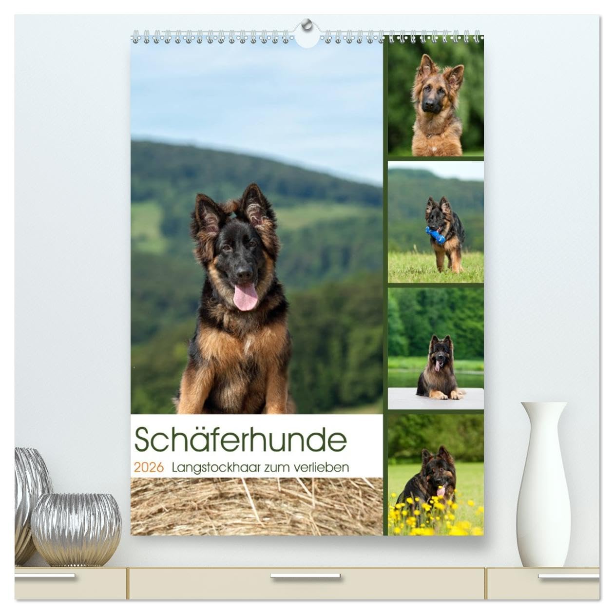 Schäferhunde Langstockhaar zum verlieben (hochwertiger Premium Wandkalender 2026 DIN A2 hoch), Kunstdruck in Hochglanz: Langhaar Schäferhunde für das ganze Jahr (CALVENDO Tiere) Film, Art & Culture
