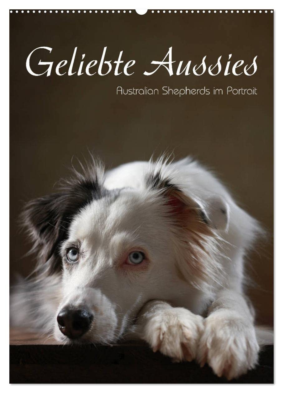 Geliebte Aussies - Australian Shepherds im Portrait (Wandkalender 2026 DIN A2 hoch), CALVENDO Monatskalender: Australian Shepherds im Studio portraitiert (CALVENDO Tiere) Natural Sciences