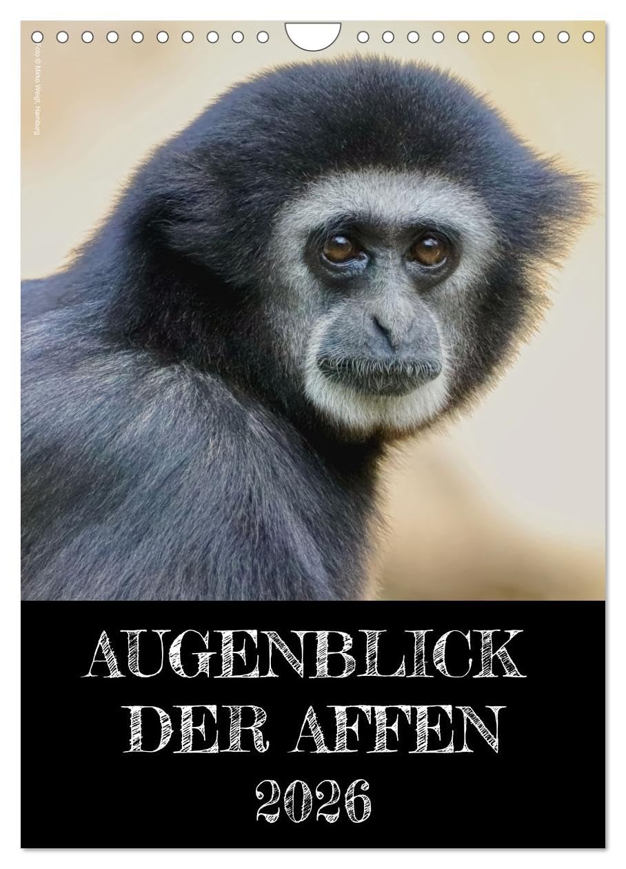 Augenblick der Affen 2026 (Wandkalender 2026 DIN A4 hoch), CALVENDO Monatskalender: Affengesichter ganz nah. Jeden Monat ein eindringlicher Blick, der zu Interpretationen einlädt. (CALVENDO Tiere) Social Sciences
