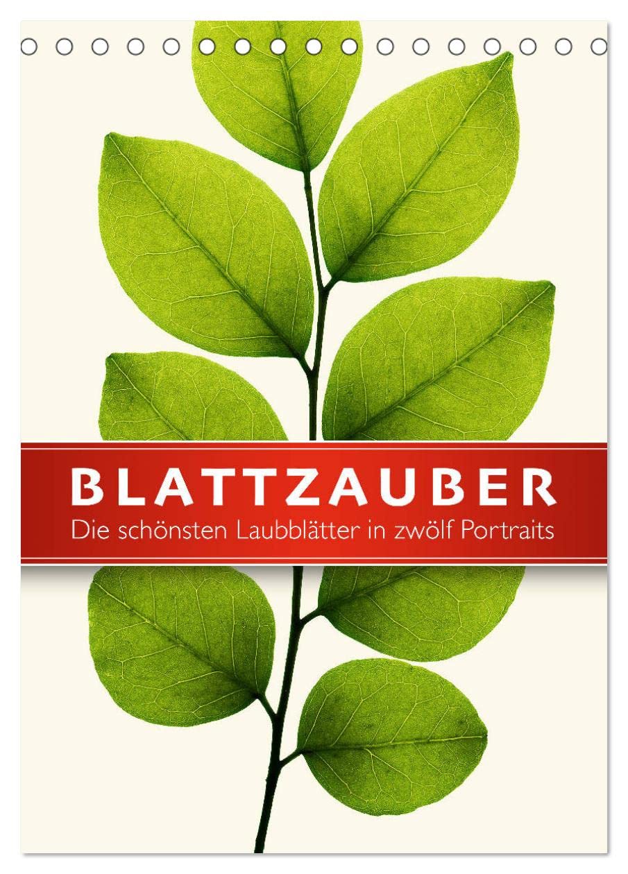 Blattzauber (Tischkalender 2026 DIN A5 hoch), CALVENDO Monatskalender: Die schönsten Laubblätter in zwölf Portraits. (CALVENDO Natur) Leisure, Home & Garden