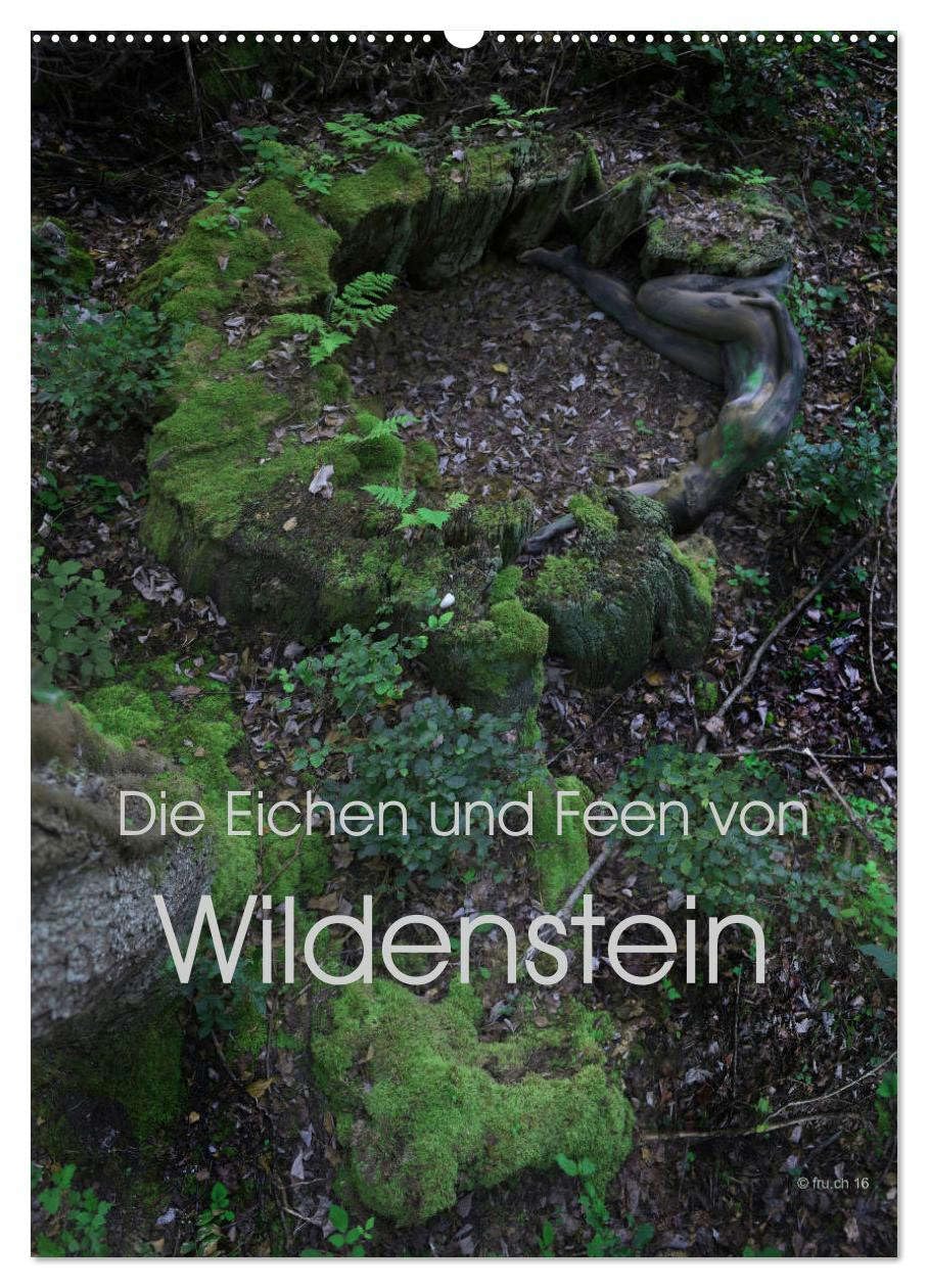 Die Eichen und Feen von Wildenstein (Wandkalender 2026 DIN A2 hoch), CALVENDO Monatskalender: Ein Eichenwitwald im Lauf der Jahreszeiten und seine seltsamen Feen (CALVENDO Erotik) Calendars