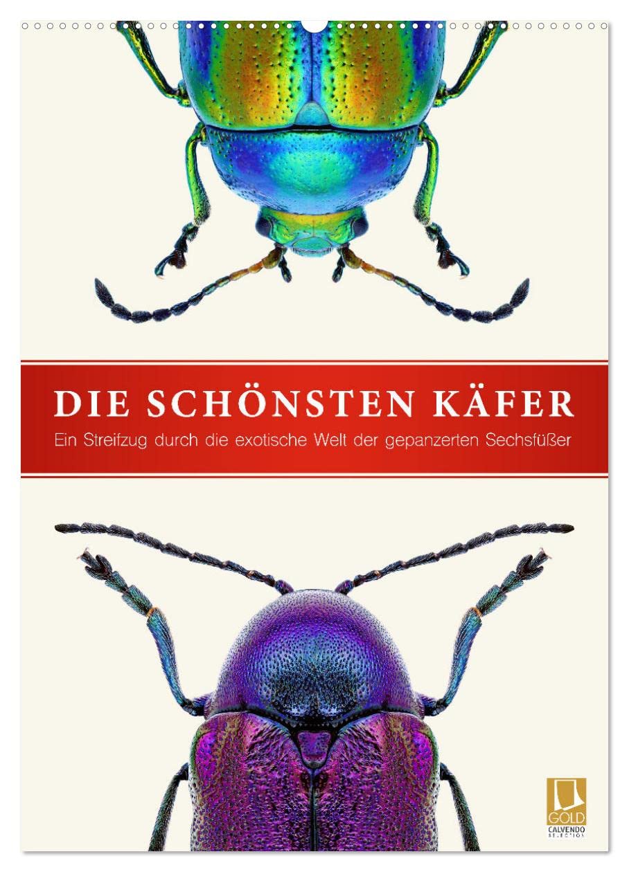 Die schönsten Käfer (Wandkalender 2026 DIN A2 hoch), CALVENDO Monatskalender: Ein Streifzug durch die exotische Welt der gepanzerten Sechsfüßer (CALVENDO Tiere) Natural Sciences