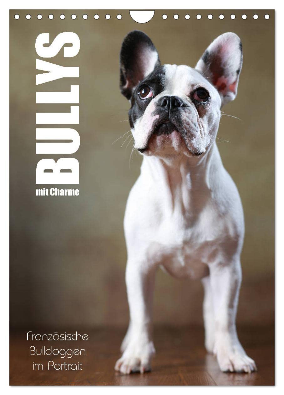 Bullys mit Charme - Französische Bulldoggen im Portrait (Wandkalender 2026 DIN A4 hoch), CALVENDO Monatskalender: Bullys im Portrait (CALVENDO Tiere) Natural Sciences