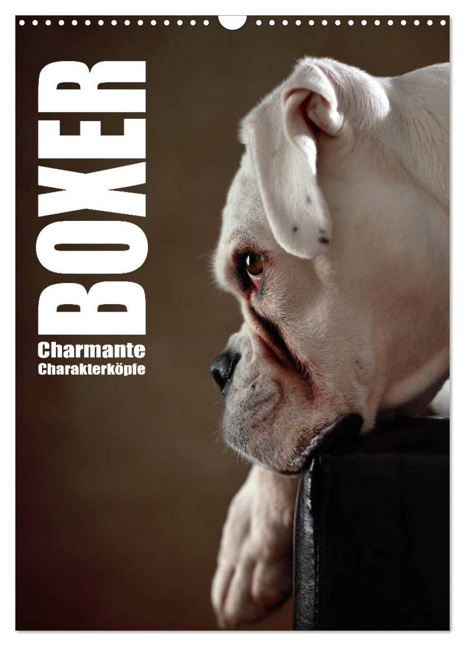 Boxer - Charmante Charakterköpfe (Wandkalender 2026 DIN A3 hoch), CALVENDO Monatskalender: Boxer mit Charme ins rechte Licht gerückt (CALVENDO Tiere) Natural Sciences