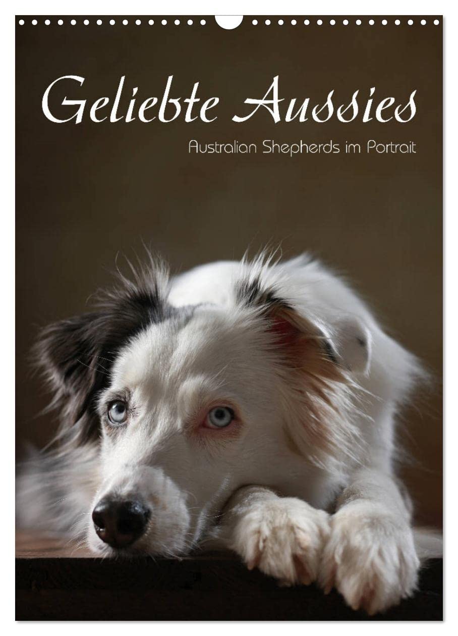 Geliebte Aussies - Australian Shepherds im Portrait (Wandkalender 2026 DIN A3 hoch), CALVENDO Monatskalender: Australian Shepherds im Studio portraitiert (CALVENDO Tiere) Natural Sciences