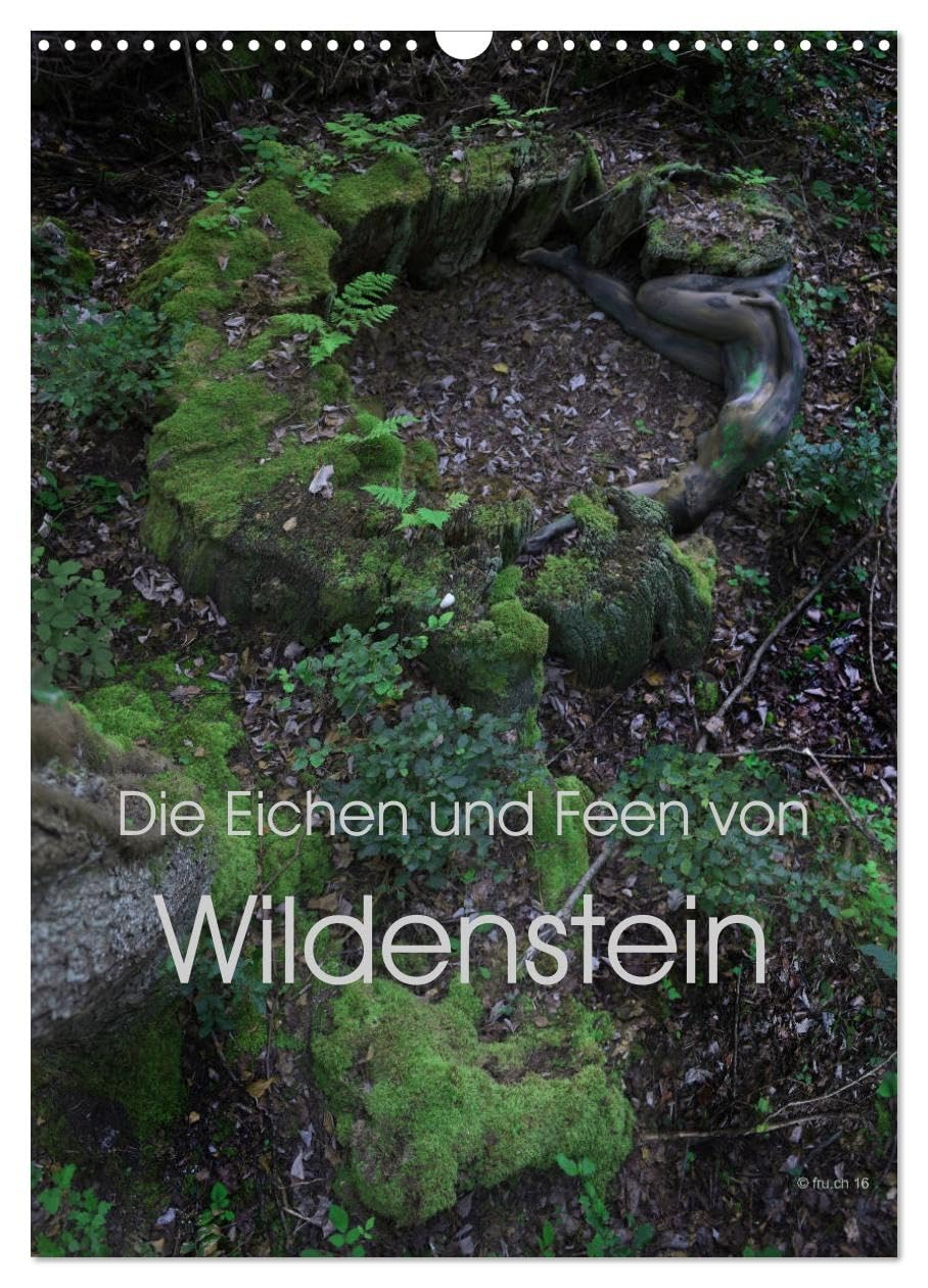 Die Eichen und Feen von Wildenstein (Wandkalender 2026 DIN A3 hoch), CALVENDO Monatskalender: Ein Eichenwitwald im Lauf der Jahreszeiten und seine seltsamen Feen (CALVENDO Erotik) Calendars