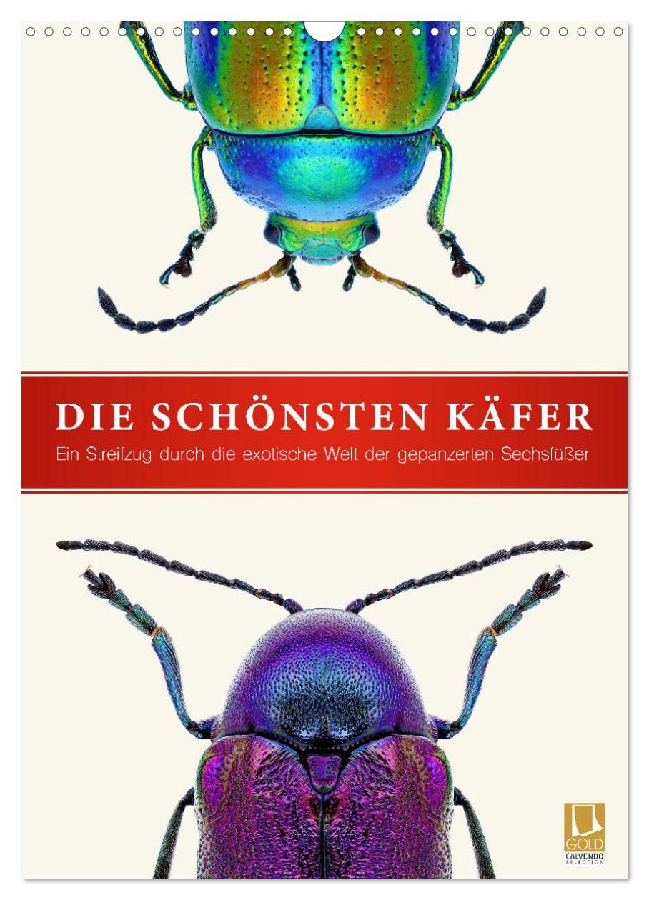 Die schönsten Käfer (Wandkalender 2026 DIN A3 hoch), CALVENDO Monatskalender: Ein Streifzug durch die exotische Welt der gepanzerten Sechsfüßer (CALVENDO Tiere) Natural Sciences