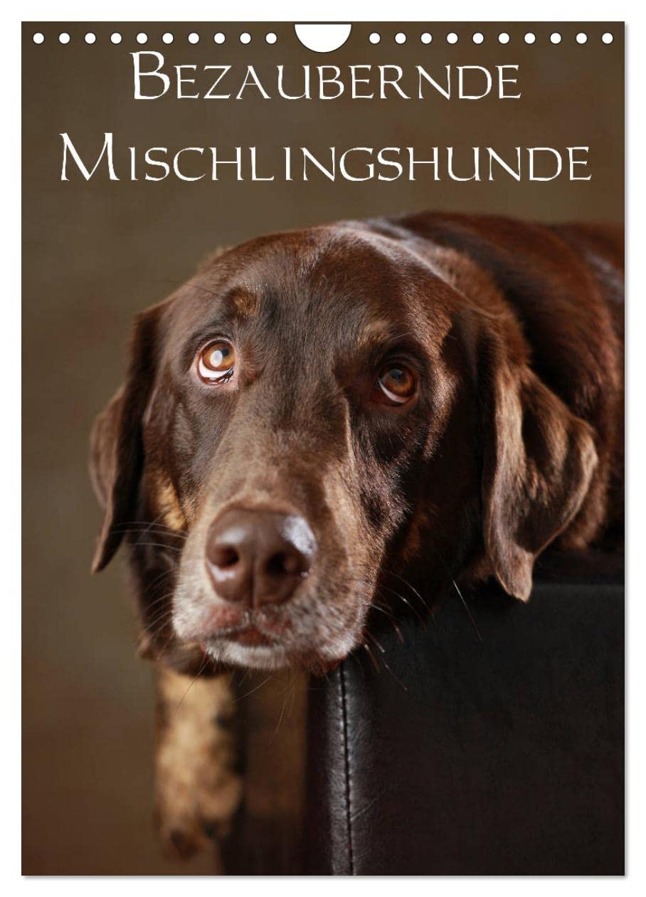 Bezaubernde Mischlingshunde (Wandkalender 2026 DIN A4 hoch), CALVENDO Monatskalender: Bezaubernde Mischlingshunde im Portrait (CALVENDO Tiere) Natural Sciences