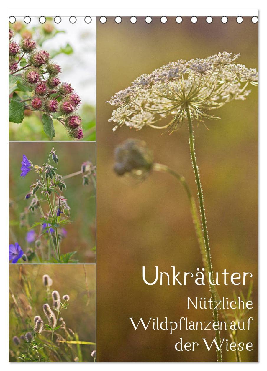Unkräuter - Nützliche Wildpflanzen auf der Wiese (Tischkalender 2026 DIN A5 hoch), CALVENDO Monatskalender: Nützliche Wildpflanzen auf der Wiese (CALVENDO Natur) Leisure, Home & Garden