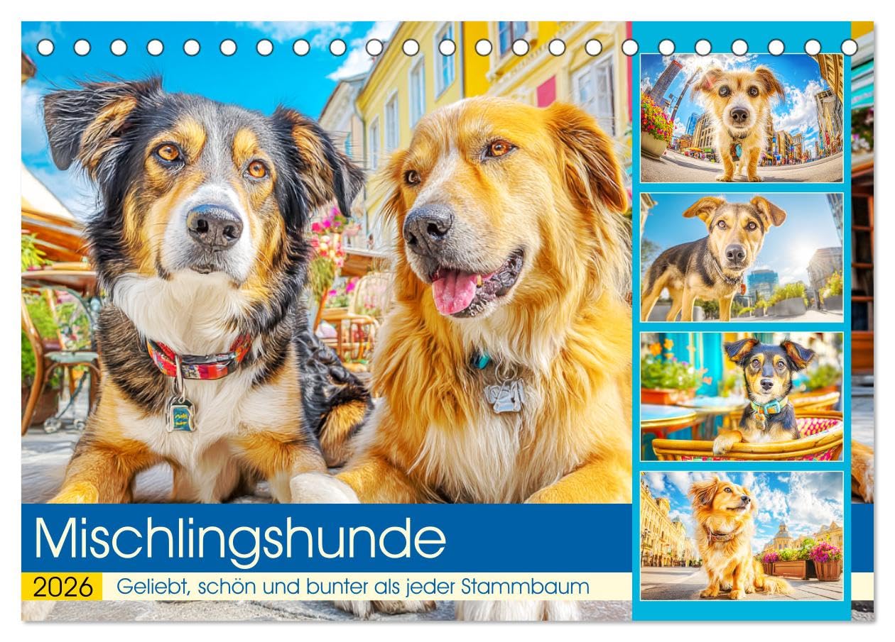Mischlingshunde. Geliebt, schön und bunter als jeder Stammbaum (Tischkalender 2026 DIN A5 quer), CALVENDO Monatskalender: Zauberhafte Hunde zeigen in ... nicht im Stammbaum steckt (CALVENDO Tiere) Film, Art & Culture
