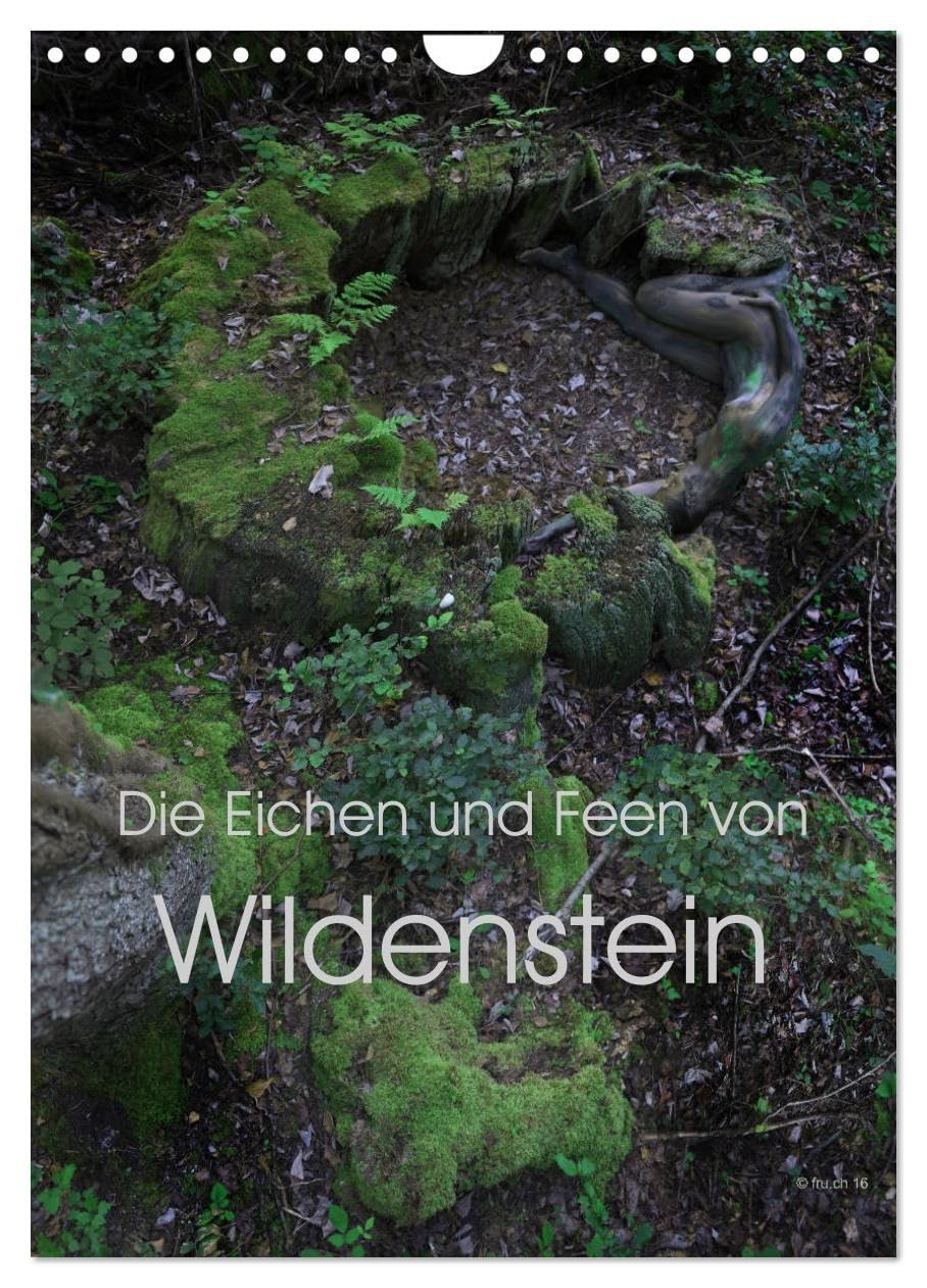 Die Eichen und Feen von Wildenstein (Wandkalender 2026 DIN A4 hoch), CALVENDO Monatskalender: Ein Eichenwitwald im Lauf der Jahreszeiten und seine seltsamen Feen (CALVENDO Erotik) Calendars