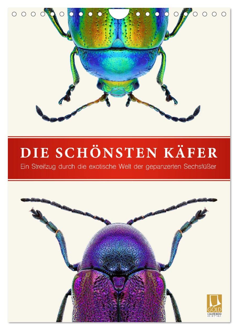 Die schönsten Käfer (Wandkalender 2026 DIN A4 hoch), CALVENDO Monatskalender: Ein Streifzug durch die exotische Welt der gepanzerten Sechsfüßer (CALVENDO Tiere) Natural Sciences