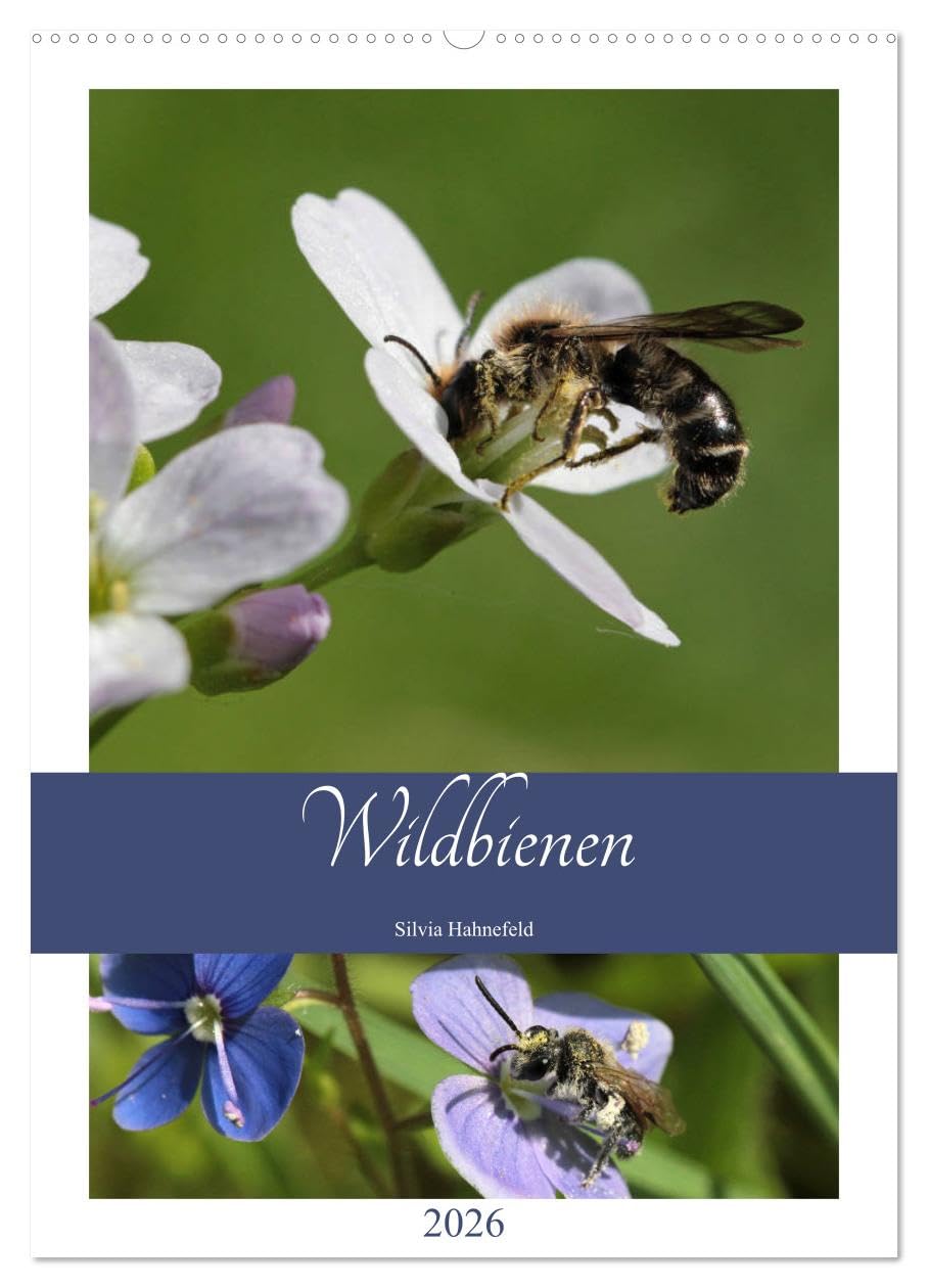Wildbienen-Terminplaner 2026 (Wandkalender 2026 DIN A2 hoch), CALVENDO Monatskalender: Fleißige Nützlinge begleiten Sie durchs Jahr (CALVENDO Tiere) Natural Sciences