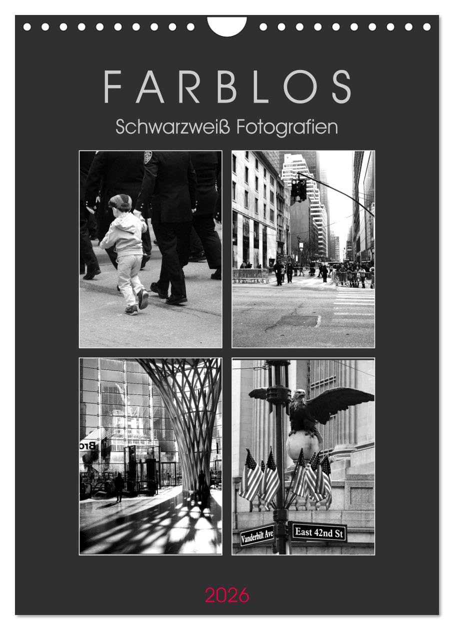 F A R B L O S - Schwarzweiß Fotografien (Wandkalender 2026 DIN A4 hoch), CALVENDO Monatskalender: Monochrom (CALVENDO Orte) Business, Finance & Career
