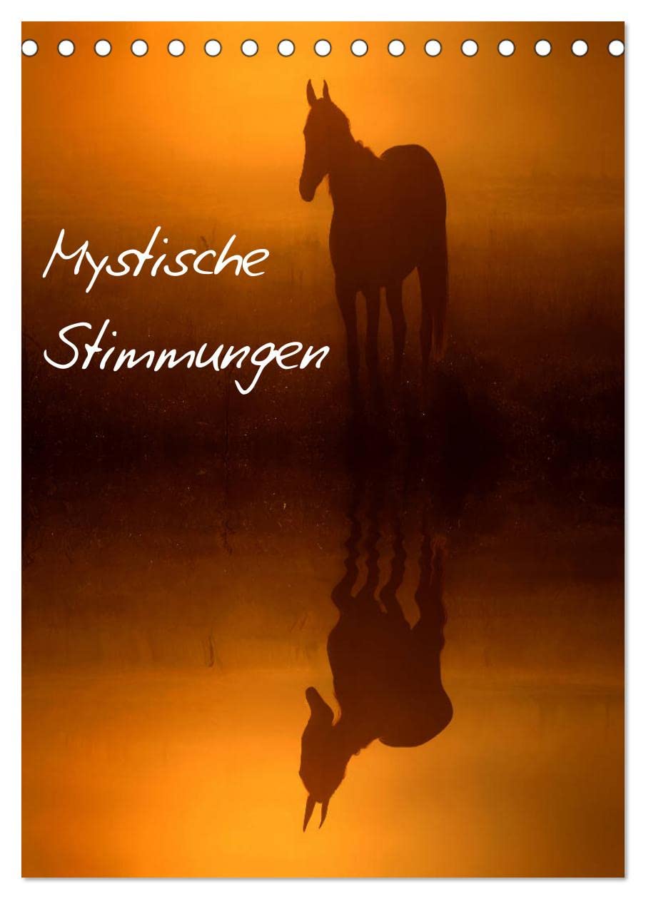 Mystische Stimmungen (Tischkalender 2026 DIN A5 hoch), CALVENDO Monatskalender: Mystische Nebel- und Landschaftsstimmungen in der Natur (CALVENDO Natur) Contemporary literature Books