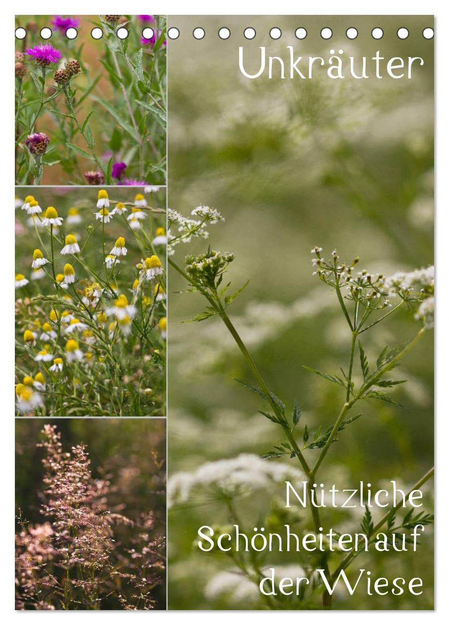 Unkräuter – Nützliche Schönheiten auf der Wiese (Tischkalender 2026 DIN A5 hoch), CALVENDO Monatskalender: Nutz- und Heilpflanzen auf der Wiese (CALVENDO Natur) Leisure, Home & Garden