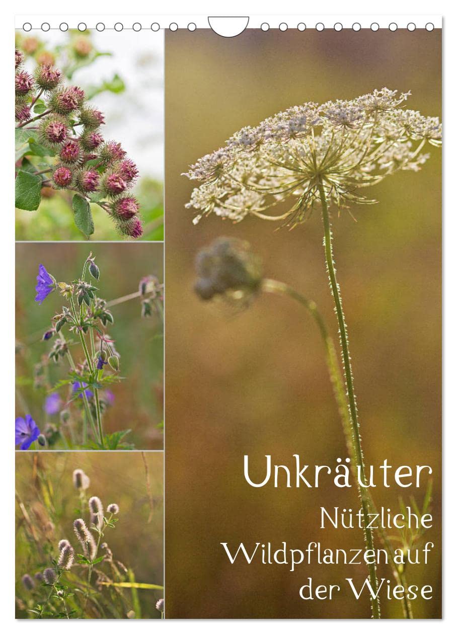 Unkräuter - Nützliche Wildpflanzen auf der Wiese (Wandkalender 2026 DIN A4 hoch), CALVENDO Monatskalender: Nützliche Wildpflanzen auf der Wiese (CALVENDO Natur) Leisure, Home & Garden