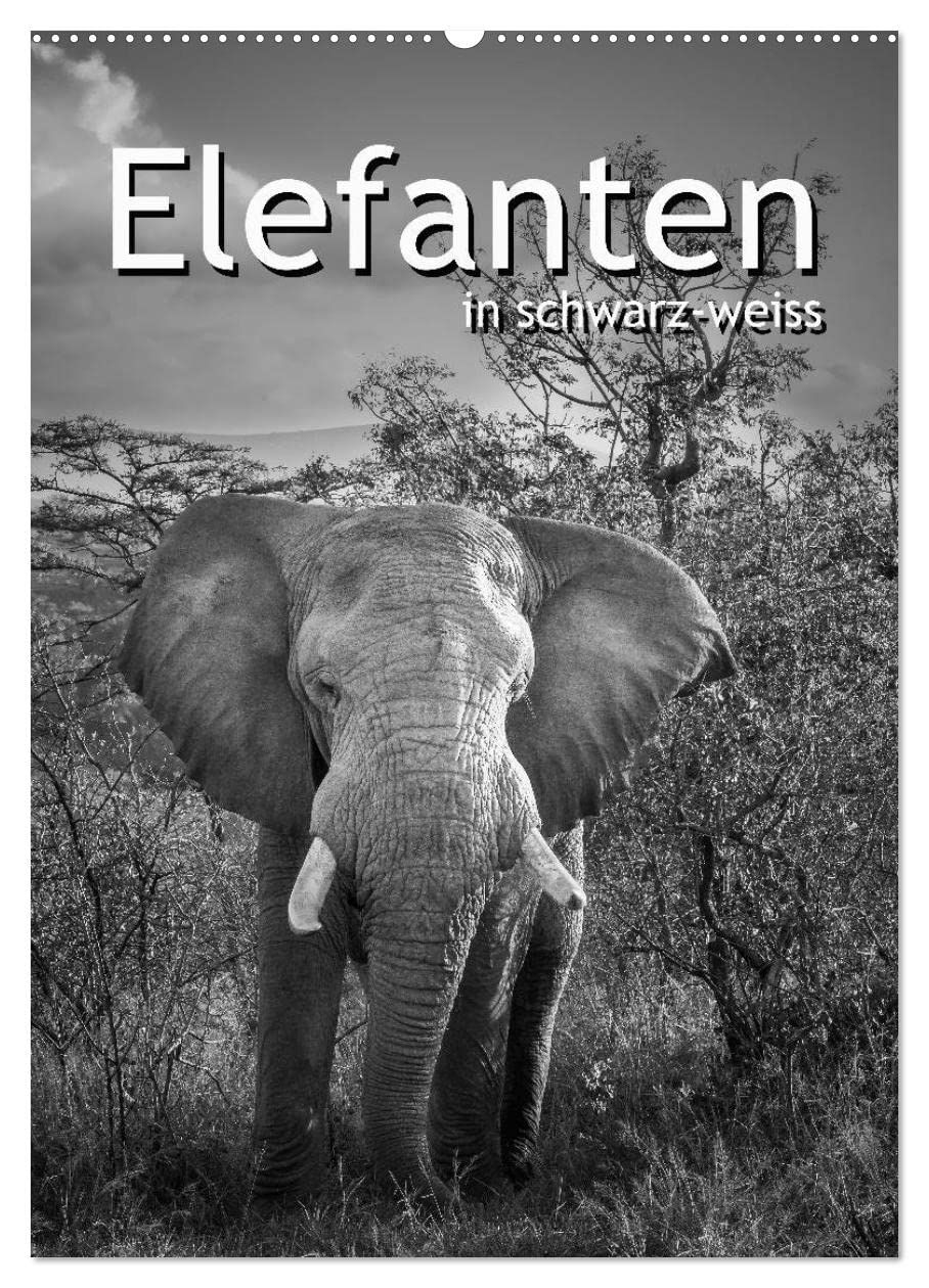 Elefanten in schwarz-weiss (Wandkalender 2026 DIN A2 hoch), CALVENDO Monatskalender: Die sanften Dickhäuter Afrikas (CALVENDO Tiere) Natural Sciences