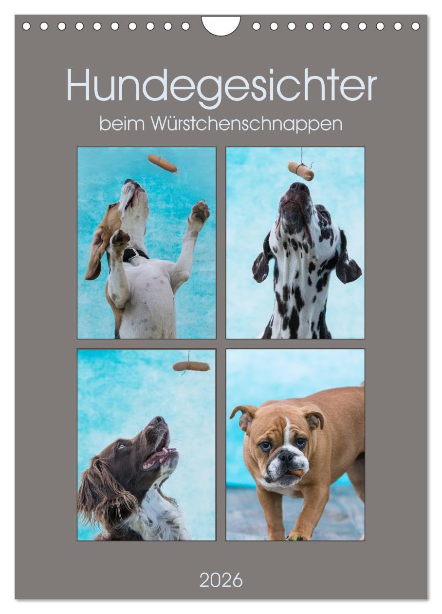 Hundegesichter beim Würstchenschnappen (Wandkalender 2026 DIN A4 hoch), CALVENDO Monatskalender: Witzige Hundeportraits beim Versuch ein Würstchen zu fangen. (CALVENDO Tiere) Natural Sciences