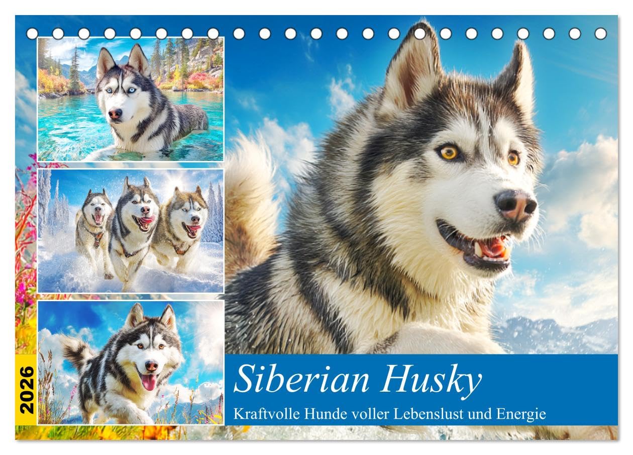 Siberian Husky. Kraftvolle Hunde voller Lebenslust und Energie (Tischkalender 2026 DIN A5 quer), CALVENDO Monatskalender: Majestätische und energiegeladene Hunde in schönen Bildern (CALVENDO Tiere) Film, Art & Culture