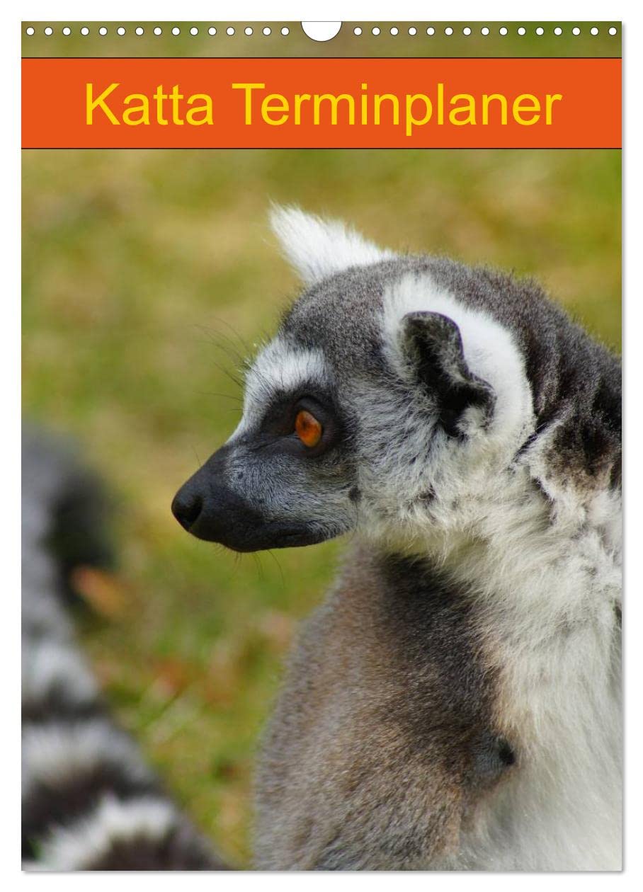 Katta Terminplaner (Wandkalender 2026 DIN A3 hoch), CALVENDO Monatskalender: Lemuren auf Madagaskar (CALVENDO Tiere) Natural Sciences