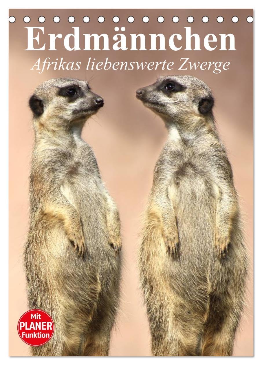 Erdmännchen - Afrikas liebenswerte Zwerge (Tischkalender 2026 DIN A5 hoch), CALVENDO Monatskalender: Die talentierten Bluffer und Buddler aus Südafrika (CALVENDO Tiere) Film, Art & Culture