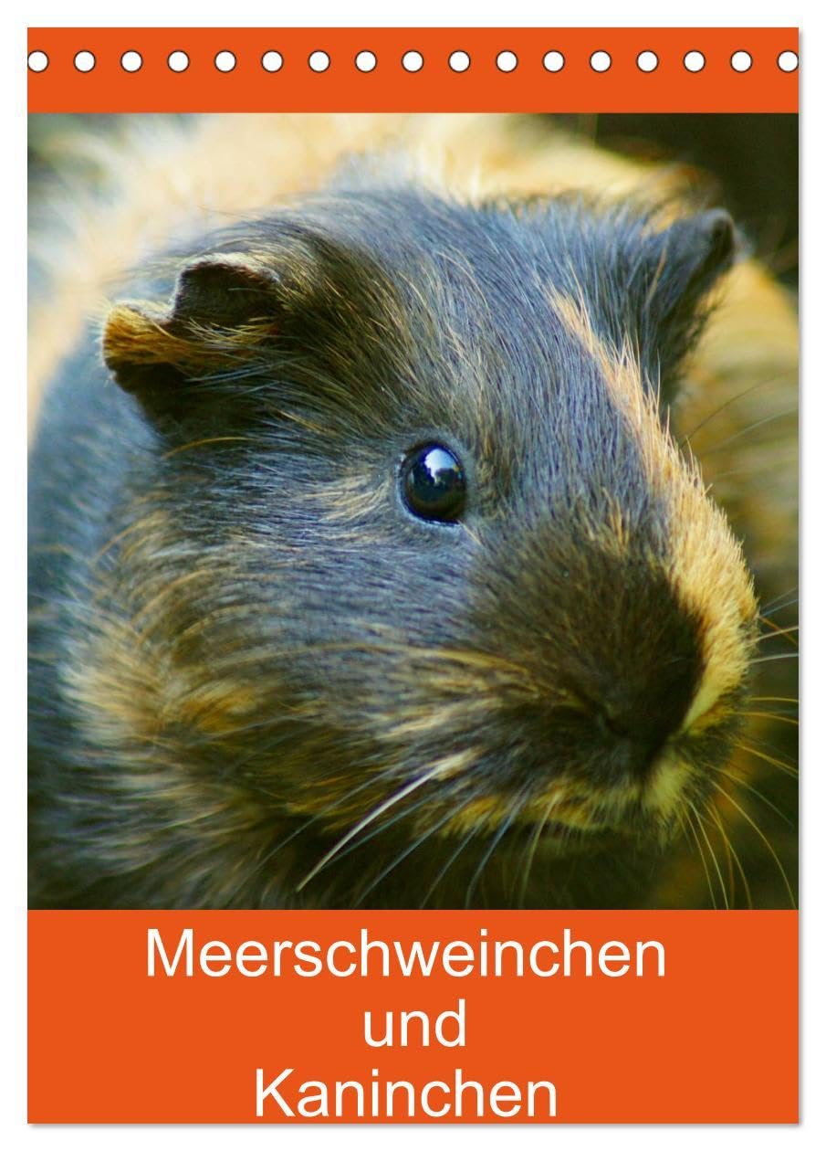Meerschweinchen und Kaninchen Familienplaner (Tischkalender 2026 DIN A5 hoch), CALVENDO Monatskalender: Die lustige Welt der Meerschweinchen und Kaninchen (CALVENDO Tiere) Living & Furnishing