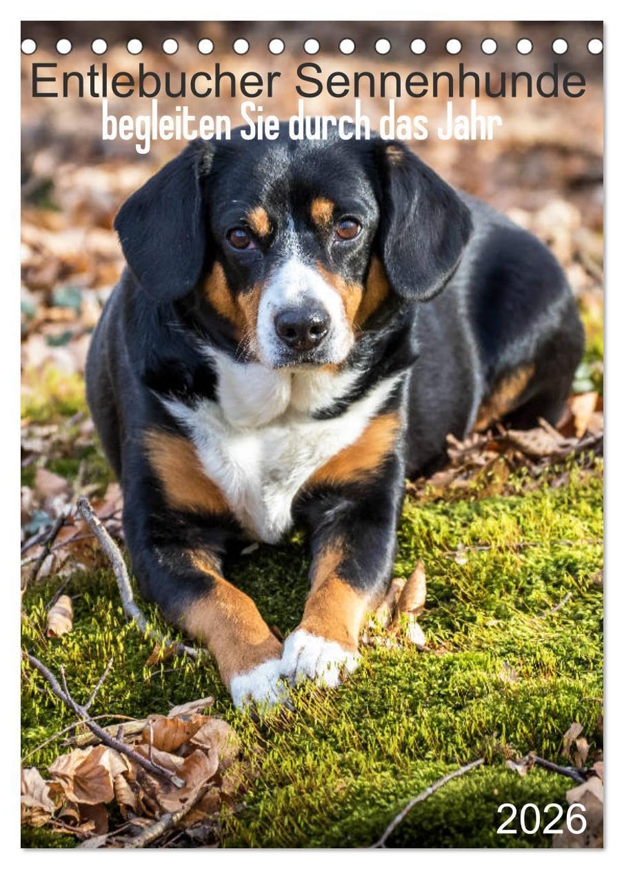 Entlebucher Sennenhunde begleiten Sie durch das Jahr (Tischkalender 2026 DIN A5 hoch), CALVENDO Monatskalender: Die Entlebucher Sennenhunde Emma und Luna (CALVENDO Tiere) Living & Furnishing