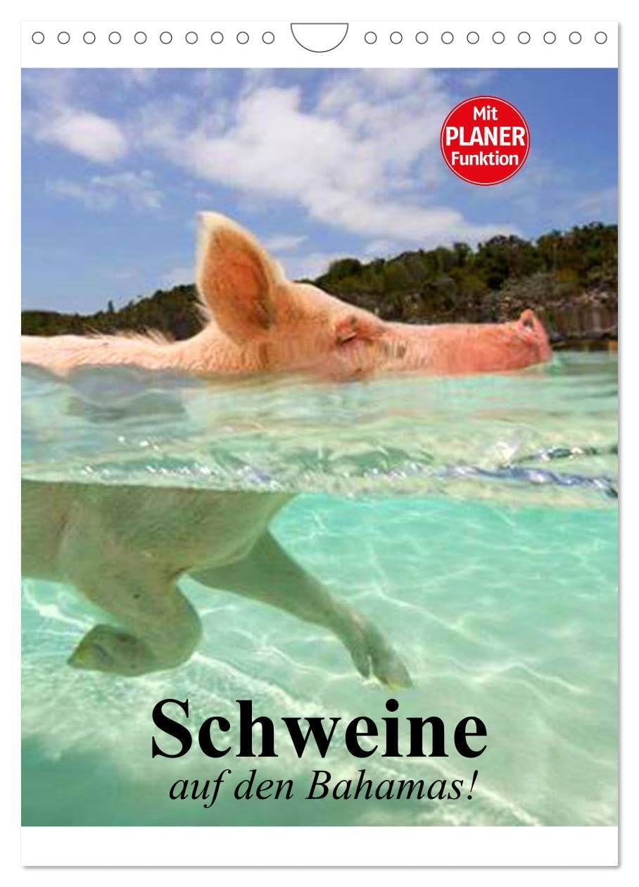 Schweine auf den Bahamas! (Wandkalender 2026 DIN A4 hoch), CALVENDO Monatskalender: Schwimmende Schweine im Dauerurlaub auf den Bahamas (CALVENDO Tiere) Living & Furnishing