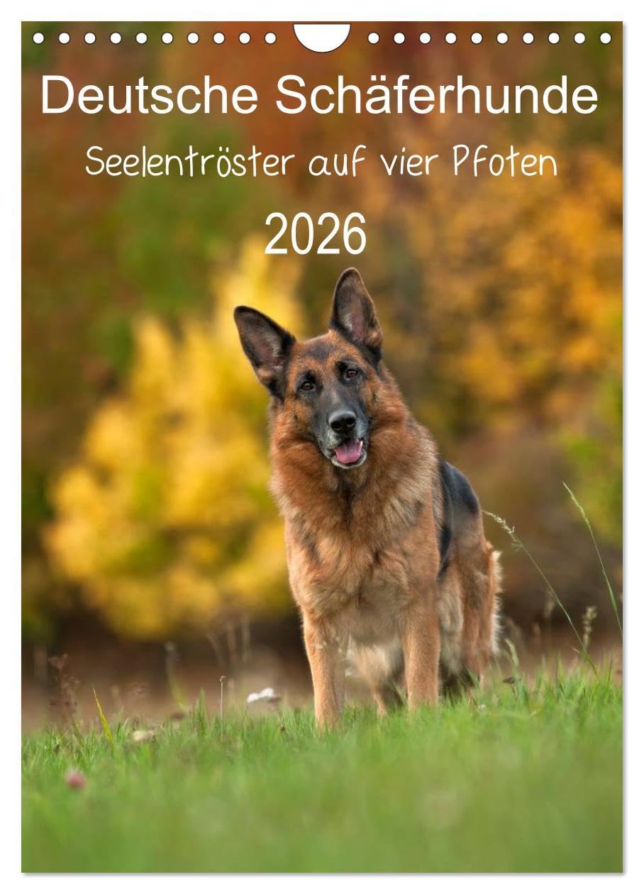 Deutsche Schäferhunde - Seelentröster auf vier Pfoten (Wandkalender 2026 DIN A4 hoch), CALVENDO Monatskalender: Schäferhunde - auch sie werden älter .... (CALVENDO Tiere) Film, Art & Culture