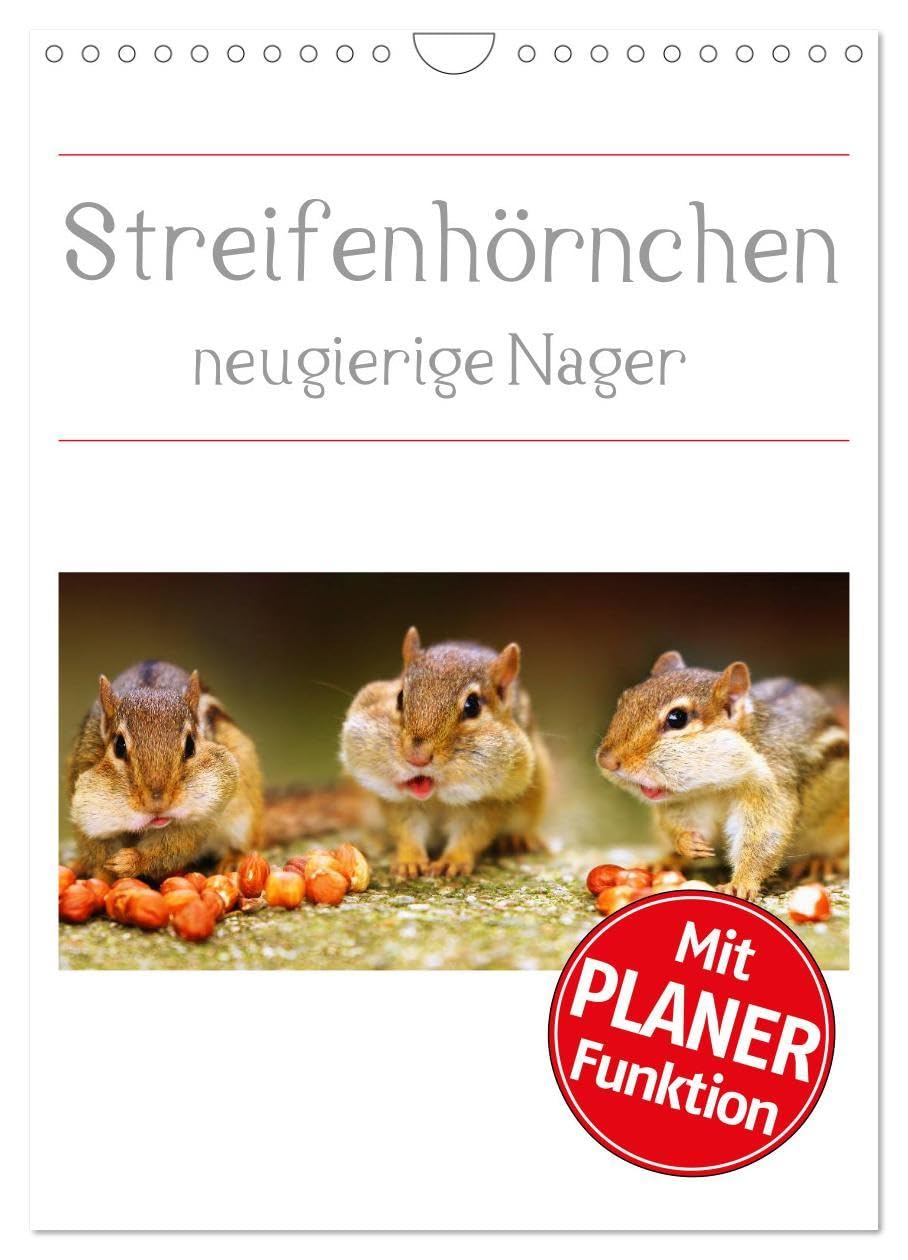 Streifenhörnchen - neugierige Nager (Wandkalender 2026 DIN A4 hoch), CALVENDO Monatskalender: Die Jäger und Sammler unter den Nagetieren (CALVENDO Tiere) Natural Sciences