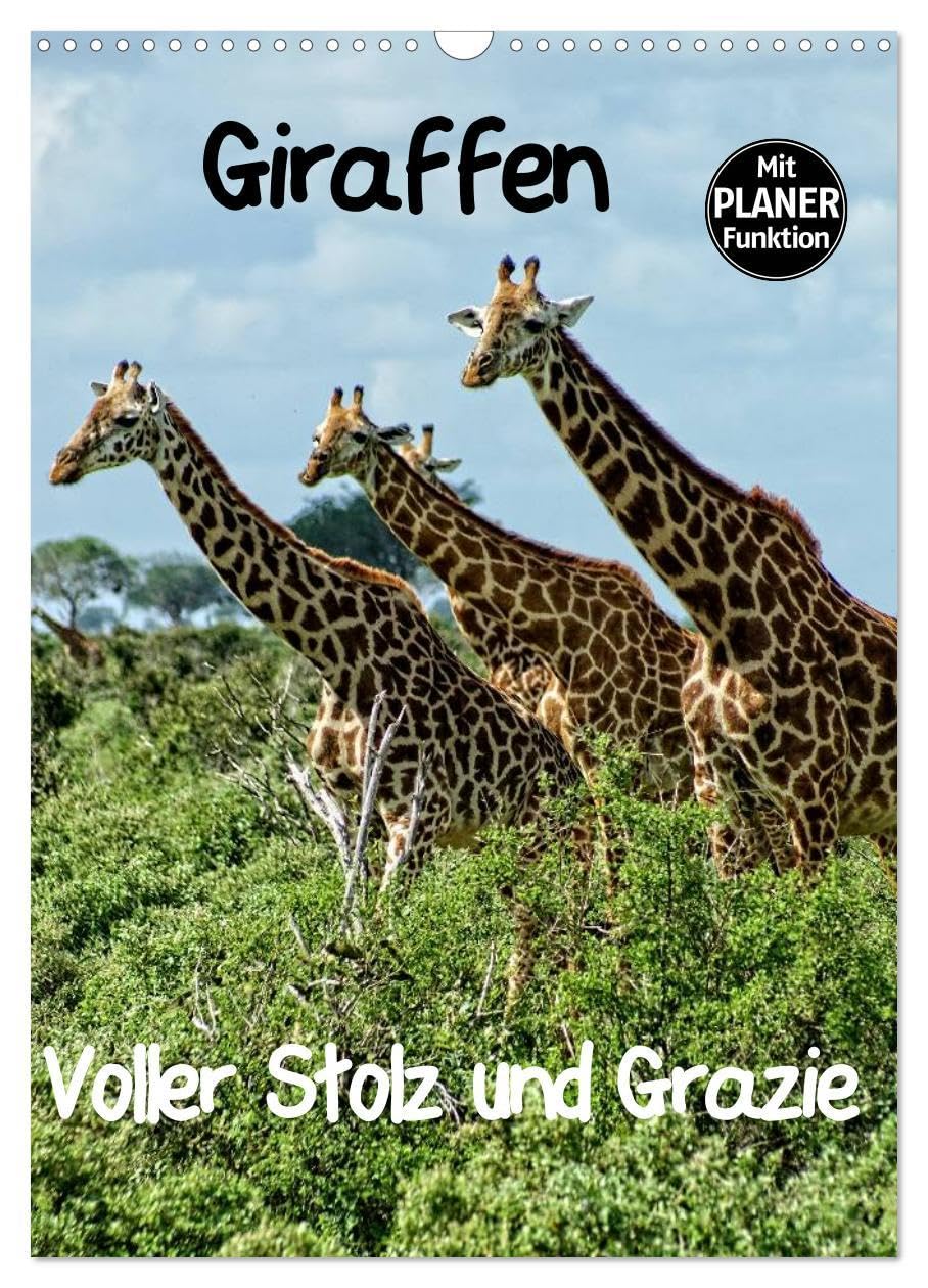 Giraffen. Voller Stolz und Grazie (Wandkalender 2026 DIN A3 hoch), CALVENDO Monatskalender: Giraffen. Faszinierende Wildtiere Afrikas. Majestätisch und Graziös. (CALVENDO Tiere) Film, Art & Culture