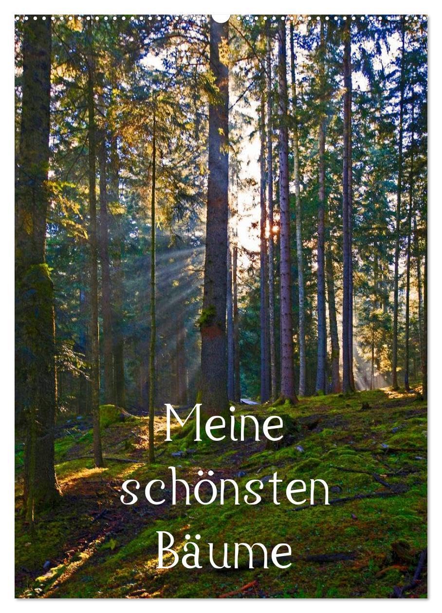 Meine schönsten Bäume (Wandkalender 2026 DIN A2 hoch), CALVENDO Monatskalender: 12 schöne Bäume im Salzburger Land (CALVENDO Natur) Film, Art & Culture