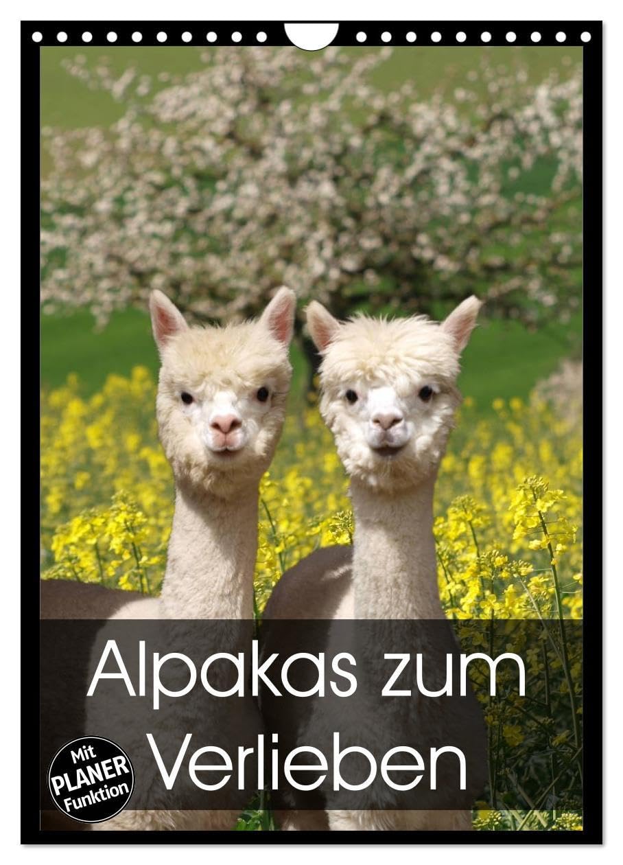 Alpakas zum Verlieben (Wandkalender 2026 DIN A4 hoch), CALVENDO Monatskalender: Alpakas - Tiere, in die man sich einfach verliebt (CALVENDO Tiere) Living & Furnishing