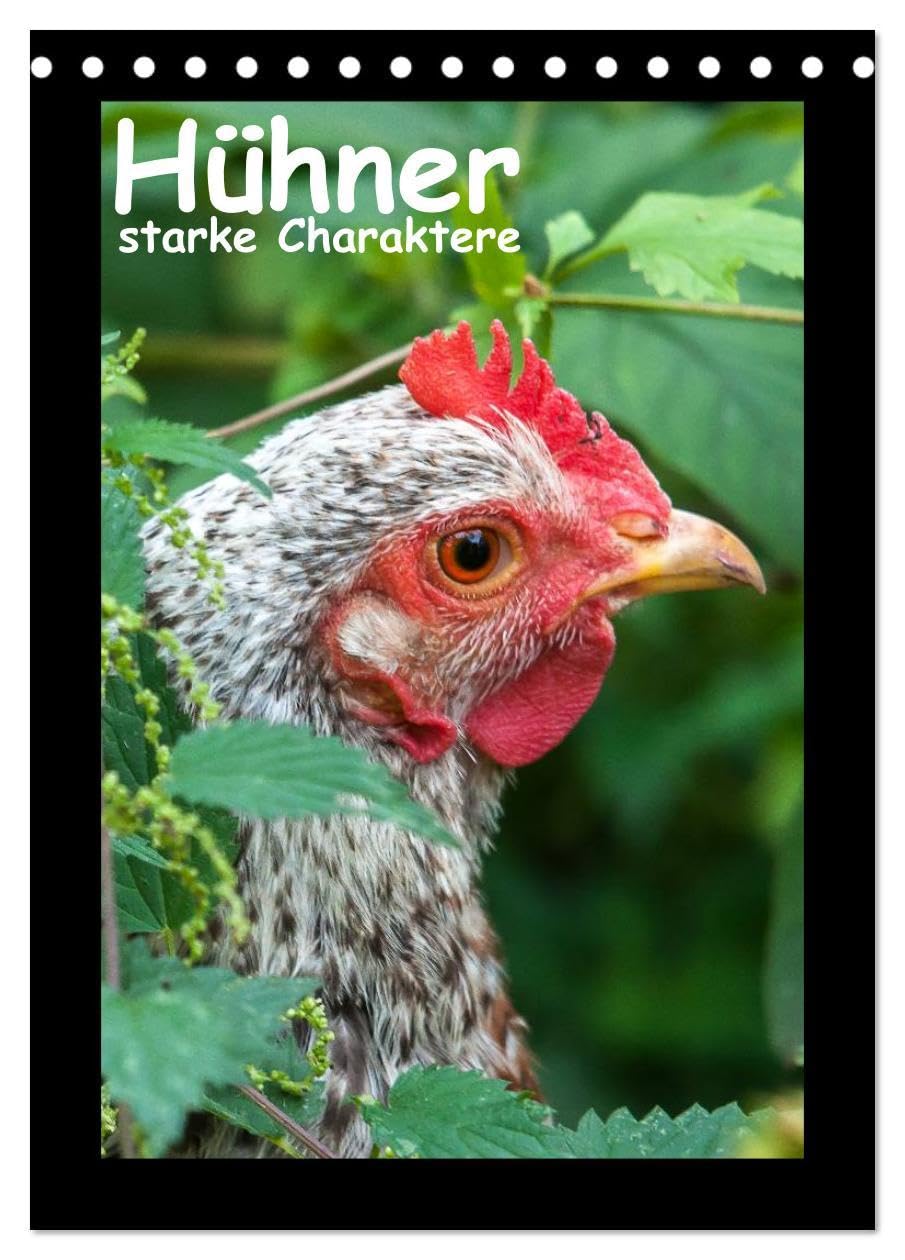 Hühner - starke Charaktere (Tischkalender 2026 DIN A5 hoch), CALVENDO Monatskalender: Hühnerportraits (CALVENDO Tiere) Natural Sciences