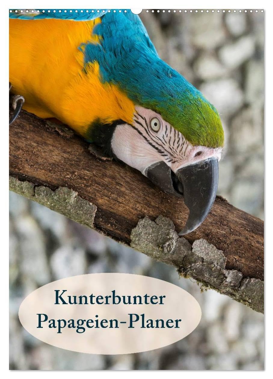 Kunterbunter Papageien-Planer (Wandkalender 2026 DIN A2 hoch), CALVENDO Monatskalender: Planer mit kunterbunten Papageien (CALVENDO Tiere) Living & Furnishing