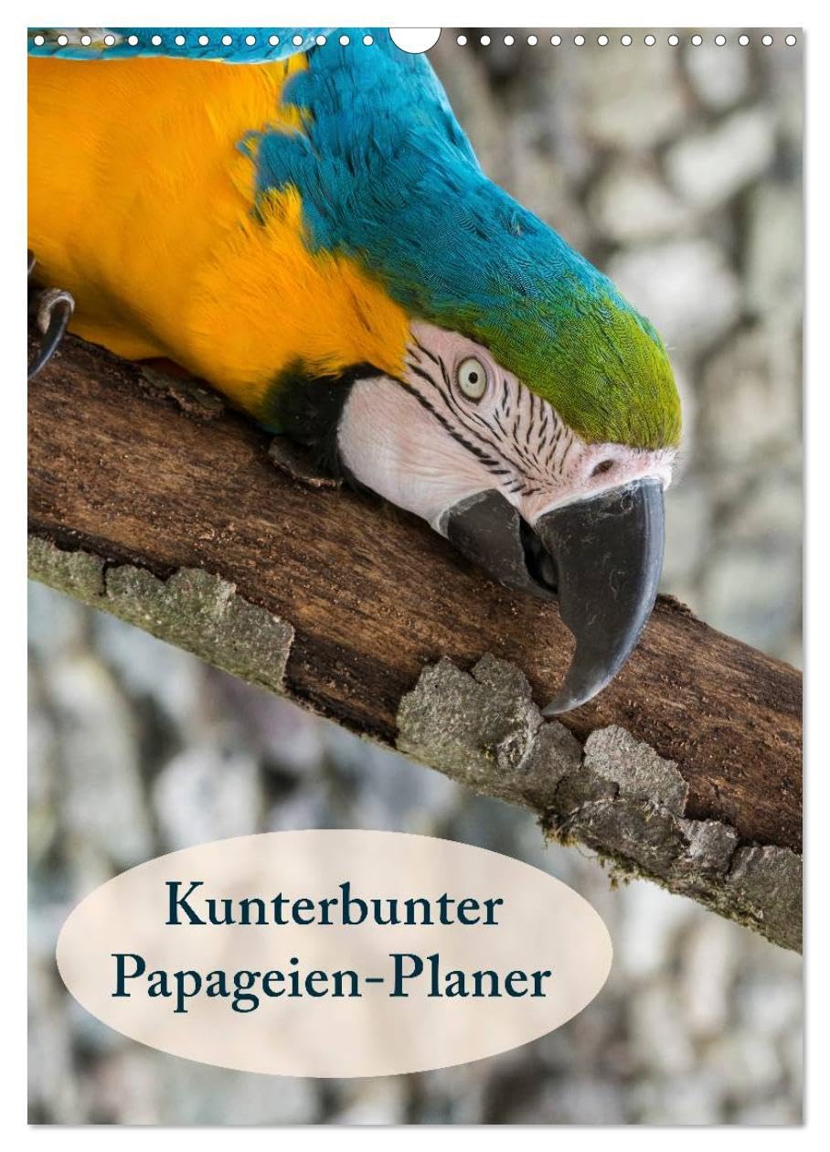 Kunterbunter Papageien-Planer (Wandkalender 2026 DIN A3 hoch), CALVENDO Monatskalender: Planer mit kunterbunten Papageien (CALVENDO Tiere) Living & Furnishing