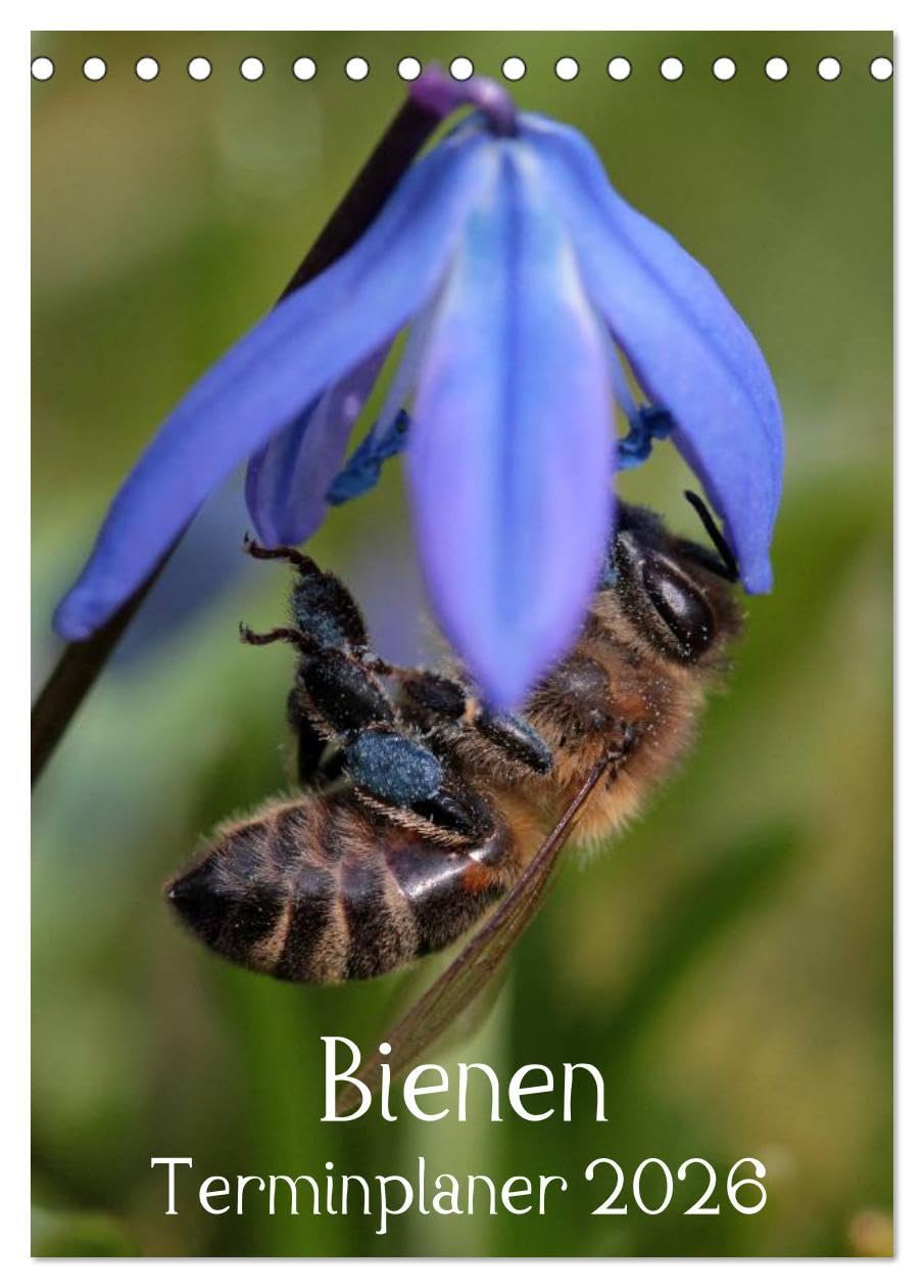 Bienen-Terminplaner 2026 (Tischkalender 2026 DIN A5 hoch), CALVENDO Monatskalender: Faszinierende Nahaufnahmen der kleinen Nützlinge (CALVENDO Tiere) Living & Furnishing