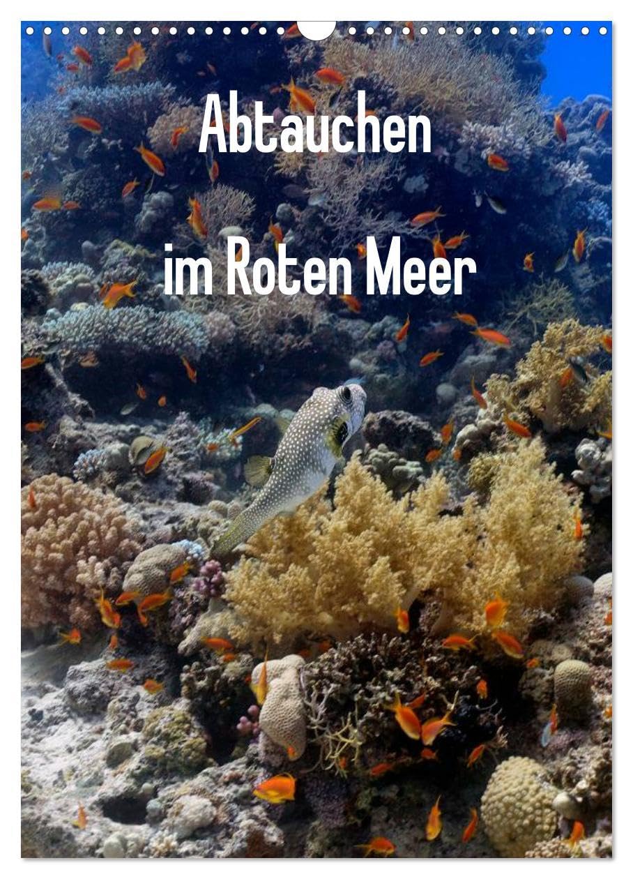 Abtauchen im Roten Meer (Wandkalender 2026 DIN A3 hoch), CALVENDO Monatskalender: Erleben Sie die maritimen Hauptdarsteller in ihrer ganzen Pracht. (CALVENDO Tiere) Natural Sciences