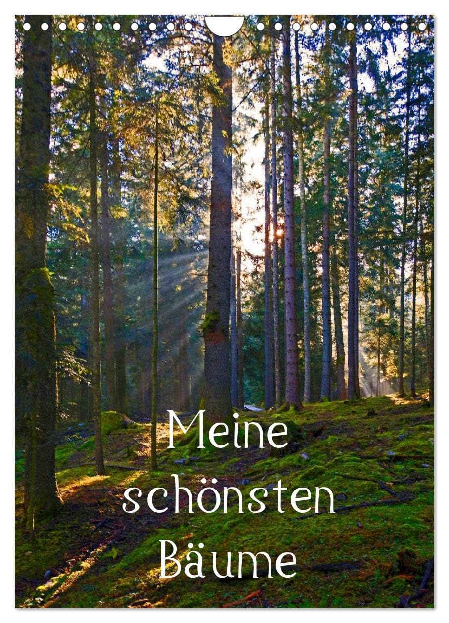 Meine schönsten Bäume (Wandkalender 2026 DIN A4 hoch), CALVENDO Monatskalender: 12 schöne Bäume im Salzburger Land (CALVENDO Natur) Film, Art & Culture