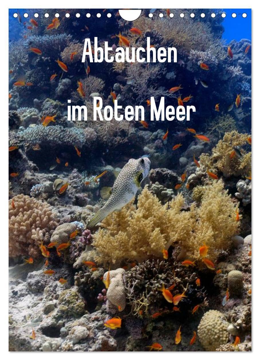 Abtauchen im Roten Meer (Wandkalender 2026 DIN A4 hoch), CALVENDO Monatskalender: Erleben Sie die maritimen Hauptdarsteller in ihrer ganzen Pracht. (CALVENDO Tiere) Natural Sciences