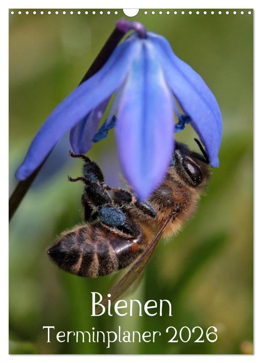 Bienen-Terminplaner 2026 (Wandkalender 2026 DIN A3 hoch), CALVENDO Monatskalender: Faszinierende Nahaufnahmen der kleinen Nützlinge (CALVENDO Tiere) Living & Furnishing