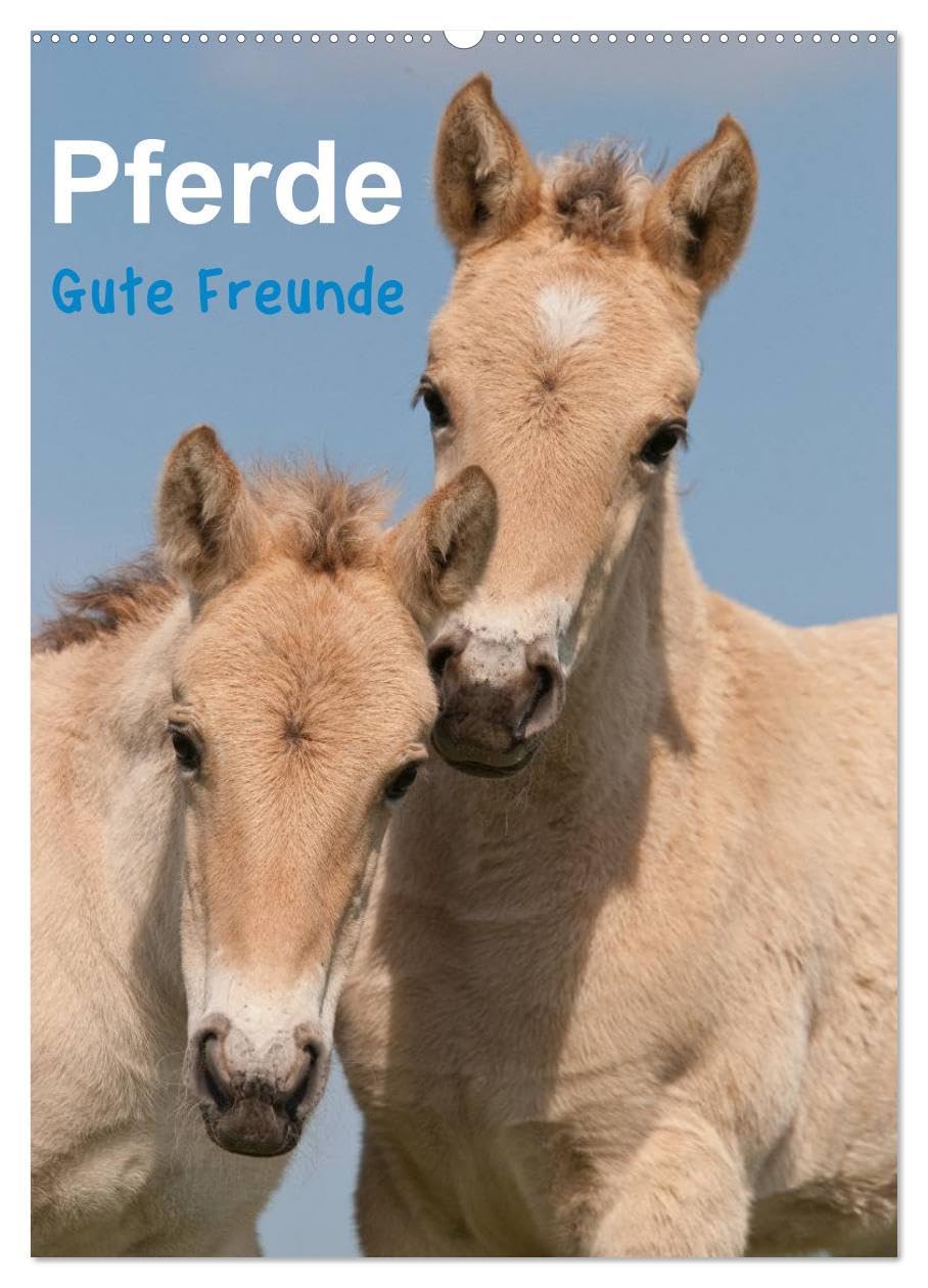 Pferde Gute Freunde (Wandkalender 2026 DIN A2 hoch), CALVENDO Monatskalender: Wunderbare Pferdefotos begleiten Sie durch das Jahr! (CALVENDO Tiere) Natural Sciences