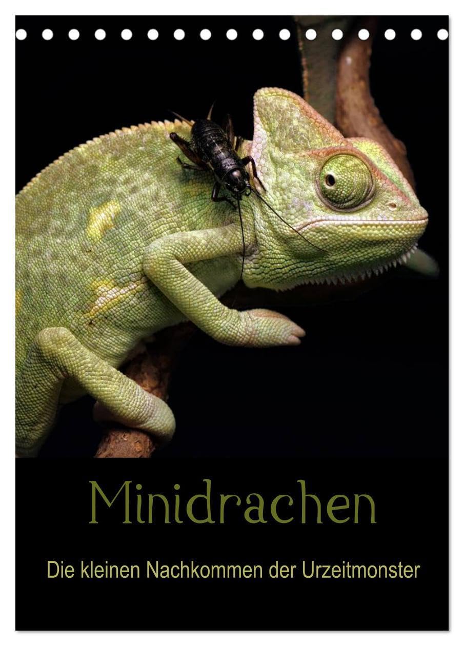 Minidrachen - Die kleinen Nachkommen der Urzeitmonster (Tischkalender 2026 DIN A5 hoch), CALVENDO Monatskalender: Die kleinen Verwandten der ... Farbenvielfalt (CALVENDO Tiere) Living & Furnishing