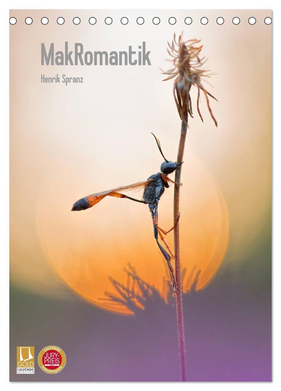 MakRomantik (Tischkalender 2026 DIN A5 hoch), CALVENDO Monatskalender: Romatisch angehauchte Makrofotografie im Morgenlicht lässt den Betrachter in ... kleinen Dinge eintauchen. (CALVENDO Natur) Photography