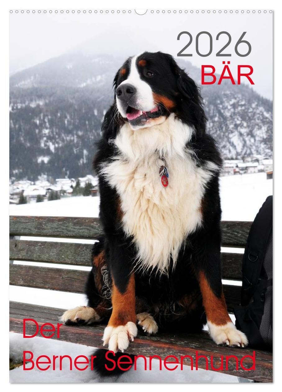 BÄR - Der Berner Sennenhund (Wandkalender 2026 DIN A2 hoch), CALVENDO Monatskalender: Fotokalender mit Hundefotografien (CALVENDO Tiere) Medicine